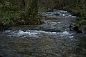 Rostoczek 11.2008 063